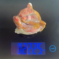 Ocean Jasper Tiger Head